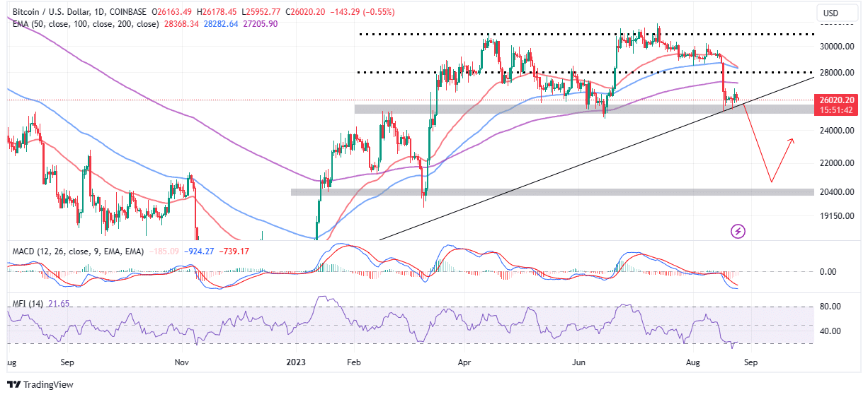 Read more about the article BTC Price Set To Rebound Into The Bull Market 