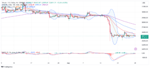 Read more about the article BTC Price Bull Run Awaits The Halving Catalyst