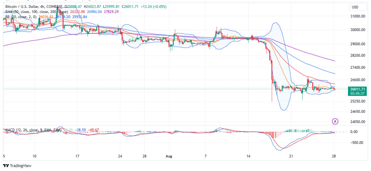 You are currently viewing BTC Price Bull Run Awaits The Halving Catalyst