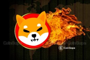 Read more about the article Shiba Inu Burn Spikes Ahead Shibarium, SHIB Price To Rally?