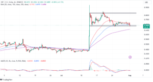 Read more about the article Will XRP Price Gains Come Undone As Federal Court Rejects Ripple Ruling?