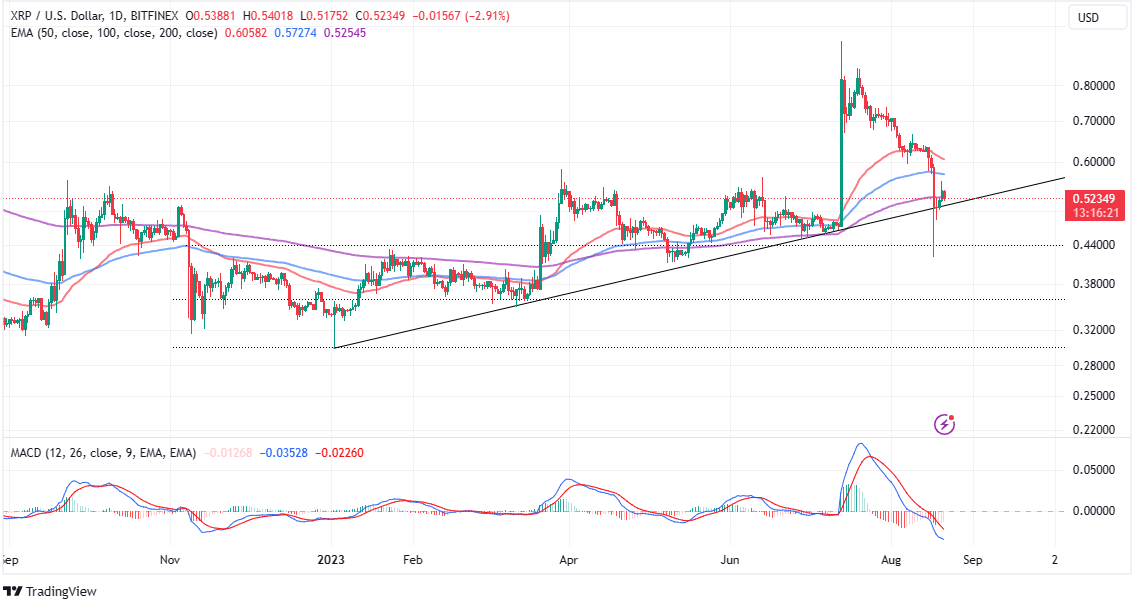 Read more about the article Is XRP In The Process of Validating a Bull Run?