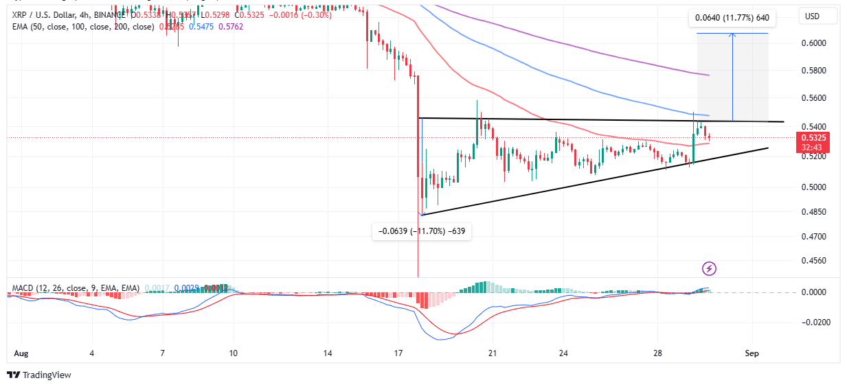 Read more about the article XRP Price Makes Bullish Case for Impending Rally to $1