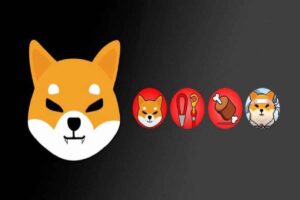 Read more about the article Shiba Inu Lead Developer Hints At Imminent Shibarium Mainnet Release