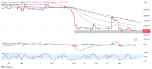 Read more about the article BTC Price Dances In A Narrow Range, Bull Market On The Horizon