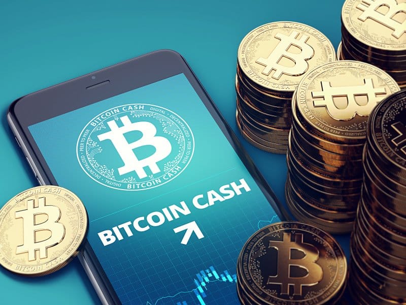 Read more about the article Bitcoin Cash Price Rallies to $250 As Whales Accumulate