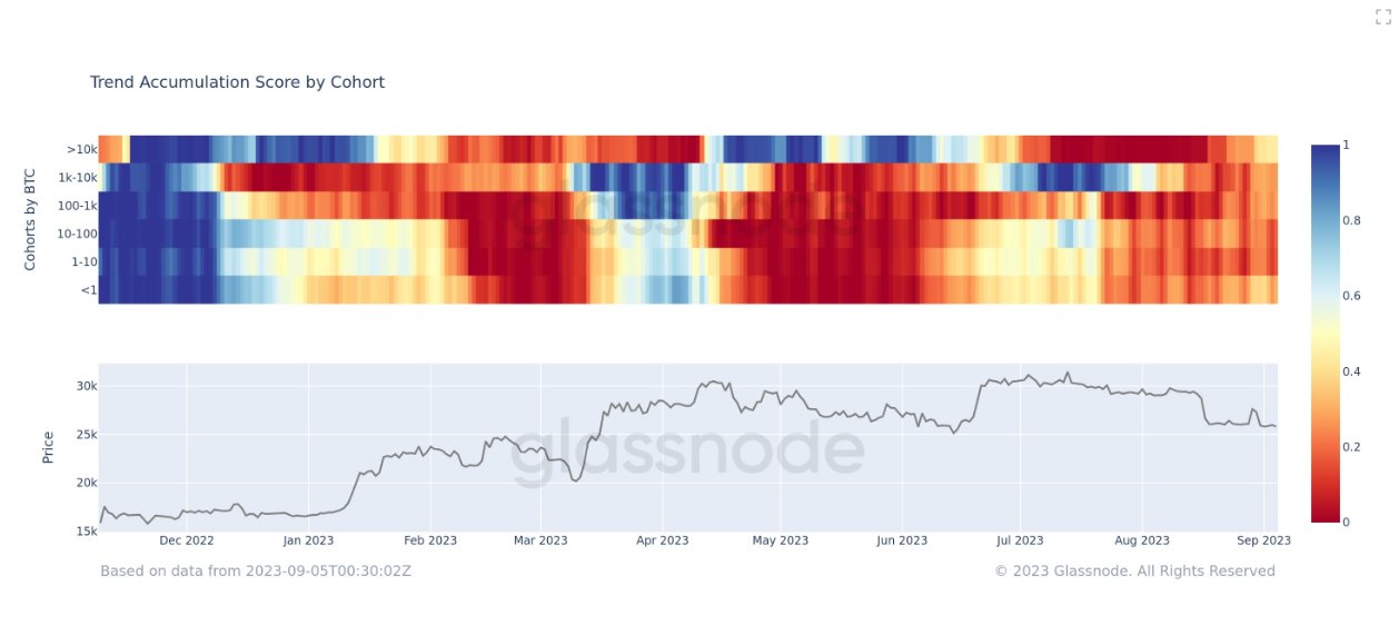 Read more about the article Whales Accumulate Bitcoin (BTC), But It’s Not BlackRock