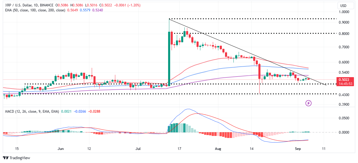 Read more about the article XRP Price Rally Awaits the Proper Party Event In NYC.