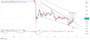 Read more about the article XRP Price Blasts Past $0.5, Investors Prepare For A Proper Party 