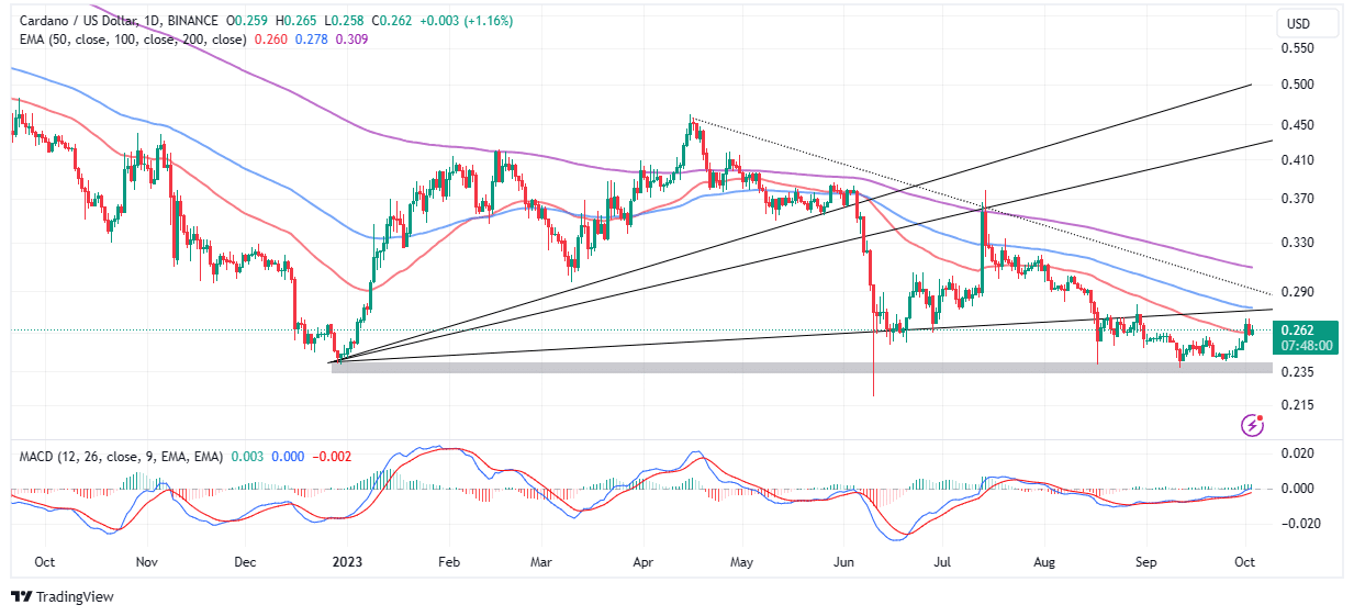 Read more about the article ADA Holds The 50-day EMA Support