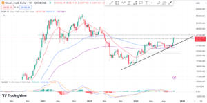 Read more about the article BTC Eyes ETF and Halving Rallies 