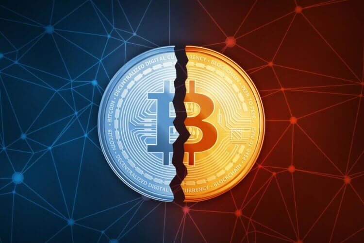 Read more about the article What To Expect If Historical Bitcoin Halving Cycles Repeat