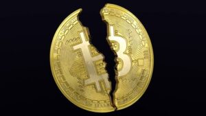 Read more about the article How One Man’s Quest To Recover Lost BTC Revealed A Fatal Bitcoin Flaw