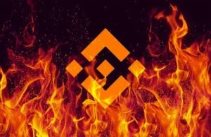 Read more about the article Binance’s BNB Token Misses Out the $180 Billion Crypto Rally, Will XRP Takeover??