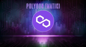 Read more about the article Polygon Reigns Supreme With 76% Inscription Activity On EVM Chains