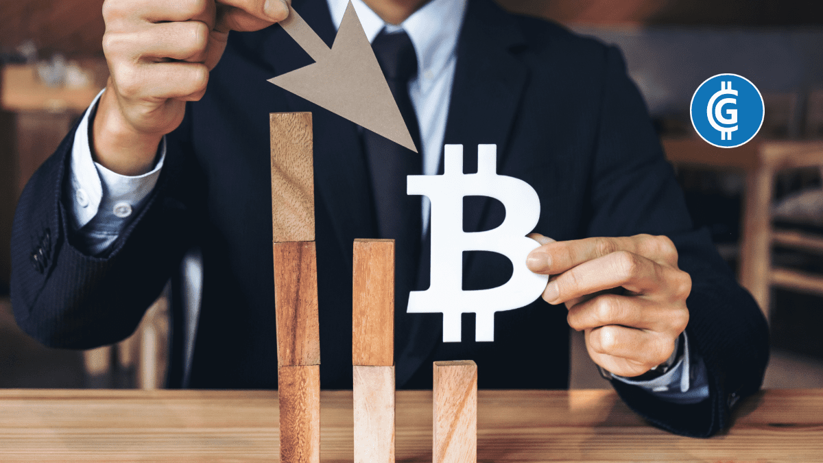 Read more about the article Bitcoin’s Pre-Halving Story Unfolds Amid Recovery Signs