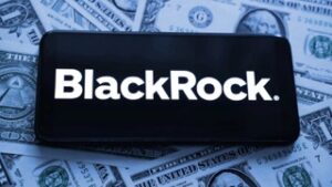 Read more about the article VanEck’s Head Of Research Says BlackRock Has $2 Billion In Investments Lined Up