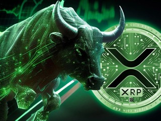 Read more about the article Valkyrie Exec Expects SEC To Approve XRP ETF, Can This Push Price To $100?