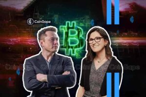 Read more about the article Cathie Wood & Elon Musk Bullish On Bitcoin, Ark Buys ARKB ETF With BITO