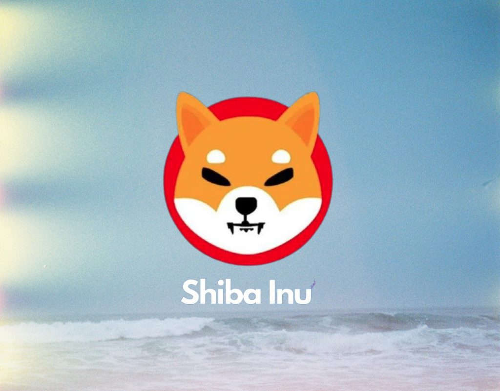 Read more about the article Shiba Inu Lead Spotlights The Shib Magazine’s Latest Edition, Here’s Everything