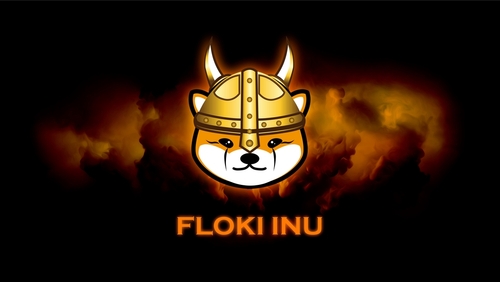 Read more about the article After the Bonk and Floki rally, is Memeinator the next big thing?