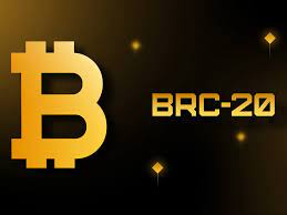 Read more about the article How To Buy And Trade BRC-20 Tokens On The Bitcoin Network