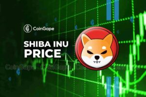 Read more about the article Shiba Inu Team Ditches Concern Over SHIB Price Fall, Here’s Why