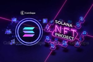 Read more about the article Solana Meme Coin Slerf Offers NFT To Presale Investors After $10M Mishap