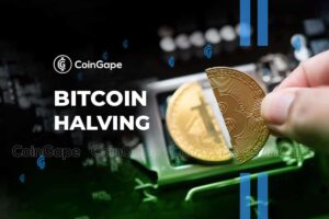 Read more about the article Bitcoin Cash Price Up 10% After Halving, Bitcoin Halving Hype Grows