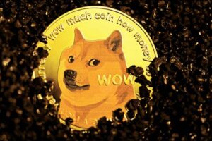 Read more about the article Dogecoin Whales Accumulate 200 Mln Coins, What’s Next?